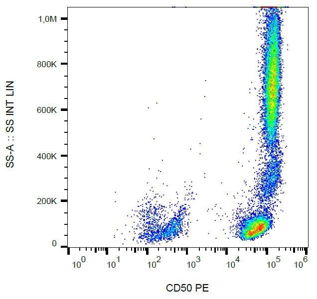 ICAM3 / CD50 Antibody - Surface staining of human peripheral blood with anti-CD50 (MEM-171) PE.