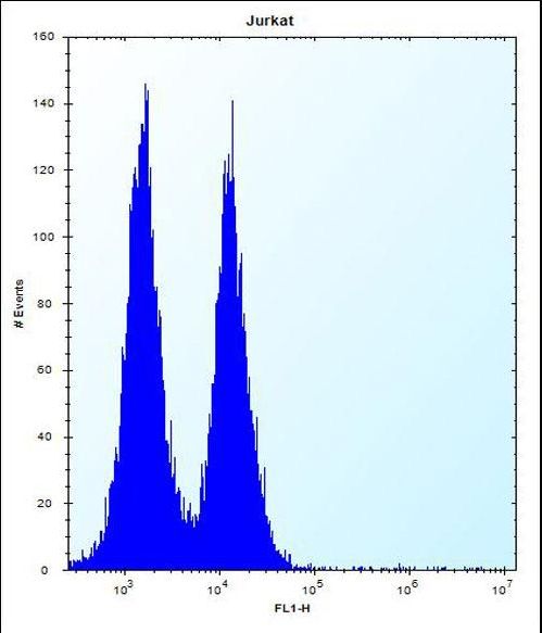 ICOS / CD278 Antibody - ICOS Antibody flow cytometry of Jurkat cells (right histogram) compared to a negative control cell (left histogram). FITC-conjugated donkey-anti-rabbit secondary antibodies were used for the analysis.