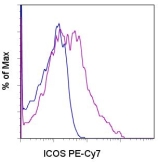 ICOS / CD278 Antibody - Staining of normal human peripheral blood cells either unstimulated (blue histogram) or stimulated for 3 days with anti-human CD3 and anti-human CD28 (purple histogram), with PE-Cy7 anti-human ICOS (ISA-3). Total viable cells were used for analysis. This image was taken for the unconjugated form of this product. Other forms have not been tested.