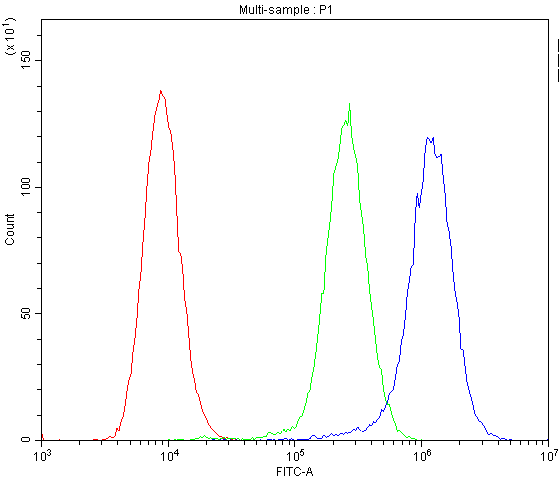 ICOS / CD278 Antibody - Flow Cytometry analysis of Raji cells using anti-ICOS antibody. Overlay histogram showing Raji cells stained with anti-ICOS antibody (Blue line). The cells were blocked with 10% normal goat serum. And then incubated with rabbit anti-ICOS Antibody (1µg/1x106 cells) for 30 min at 20°C. DyLight®488 conjugated goat anti-rabbit IgG (5-10µg/1x106 cells) was used as secondary antibody for 30 minutes at 20°C. Isotype control antibody (Green line) was rabbit IgG (1µg/1x106) used under the same conditions. Unlabelled sample (Red line) was also used as a control.
