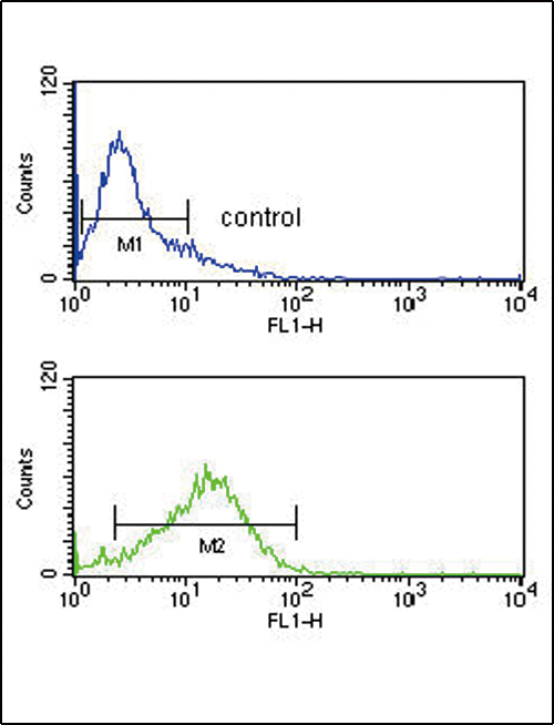 ICSBP / IRF8 Antibody - IRF8 Antibody flow cytometry of Jurkat cells (bottom histogram) compared to a negative control cell (top histogram). FITC-conjugated goat-anti-rabbit secondary antibodies were used for the analysis.