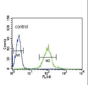 ICSBP / IRF8 Antibody - IRF8 Antibody flow cytometry of HL-60 cells (right histogram) compared to a negative control cell (left histogram). FITC-conjugated goat-anti-rabbit secondary antibodies were used for the analysis.