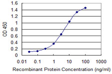 ICT1 / DS1 Antibody - Detection limit for recombinant GST tagged ICT1 is 0.03 ng/ml as a capture antibody.