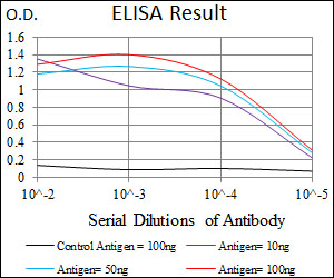 ID2 Antibody - Red: Control Antigen (100ng); Purple: Antigen (10ng); Green: Antigen (50ng); Blue: Antigen (100ng);