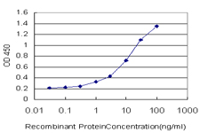 ID2 Antibody - Detection limit for recombinant GST tagged ID2 is approximately 0.3 ng/ml as a capture antibody.
