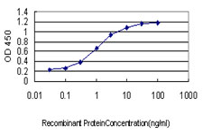 ID3 Antibody - Detection limit for recombinant GST tagged ID3 is approximately 0.03 ng/ml as a capture antibody.