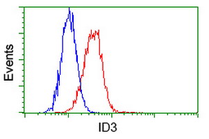 ID3 Antibody - Flow cytometry of HeLa cells, using anti-ID3 antibody, (Red) compared to a nonspecific negative control antibody (Blue).