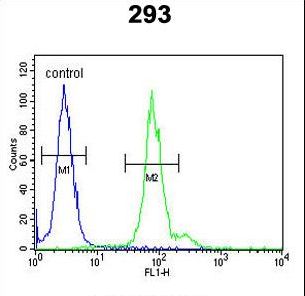 ID4 Antibody - ID4 Antibody flow cytometry of 293 cells (right histogram) compared to a negative control cell (left histogram). FITC-conjugated goat-anti-rabbit secondary antibodies were used for the analysis.