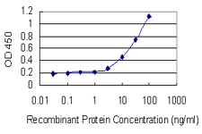 ID4 Antibody - Detection limit for recombinant GST tagged ID4 is 1 ng/ml as a capture antibody.