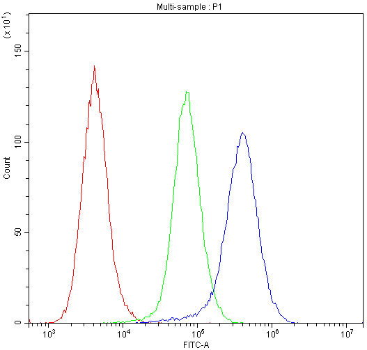 IDE Antibody - Flow Cytometry analysis of Hela cells using anti-IDE antibody. Overlay histogram showing Hela cells stained with anti-IDE antibody (Blue line). The cells were blocked with 10% normal goat serum. And then incubated with rabbit anti-IDE Antibody (1µg/10E6 cells) for 30 min at 20°C. DyLight®488 conjugated goat anti-rabbit IgG (5-10µg/10E6 cells) was used as secondary antibody for 30 minutes at 20°C. Isotype control antibody (Green line) was rabbit IgG (1µg/10E6 cells) used under the same conditions. Unlabelled sample (Red line) was also used as a control.