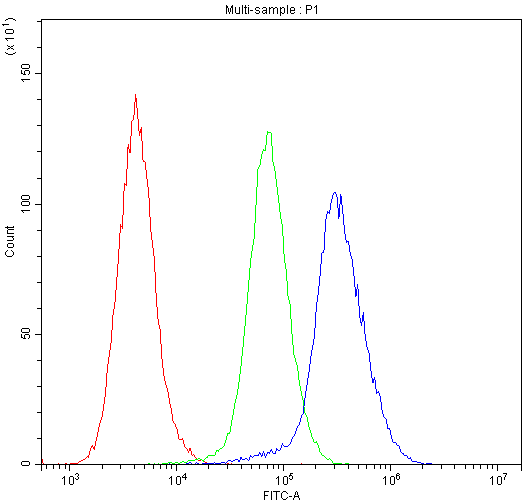 IDE Antibody - Flow Cytometry analysis of CACO-2 cells using anti-IDE antibody. Overlay histogram showing CACO-2 cells stained with anti-IDE antibody (Blue line). The cells were blocked with 10% normal goat serum. And then incubated with rabbit anti-IDE Antibody (1µg/10E6 cells) for 30 min at 20°C. DyLight®488 conjugated goat anti-rabbit IgG (5-10µg/10E6 cells) was used as secondary antibody for 30 minutes at 20°C. Isotype control antibody (Green line) was rabbit IgG (1µg/10E6 cells) used under the same conditions. Unlabelled sample (Red line) was also used as a control.