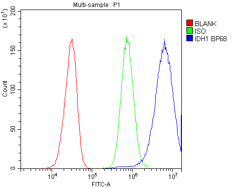 IDH1 / IDH Antibody - Flow Cytometry analysis of HepG2 cells using anti-IDH1 antibody. Overlay histogram showing HepG2 cells stained with anti-IDH1 antibody (Blue line). The cells were blocked with 10% normal goat serum. And then incubated with rabbit anti-IDH1 Antibody (1µg/10E6 cells) for 30 min at 20°C. DyLight®488 conjugated goat anti-rabbit IgG (5-10µg/10E6 cells) was used as secondary antibody for 30 minutes at 20°C. Isotype control antibody (Green line) was rabbit IgG (1µg/10E6 cells) used under the same conditions. Unlabelled sample (Red line) was also used as a control.