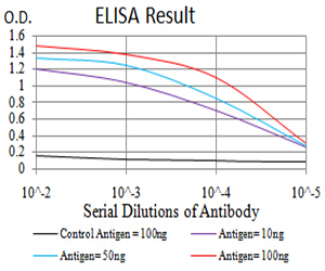 IDH1 / IDH Antibody - Black line: Control Antigen (100 ng);Purple line: Antigen (10ng); Blue line: Antigen (50 ng); Red line:Antigen (100 ng)