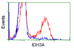 IDH3A Antibody - HEK293T cells transfected with either pCMV6-ENTRY IDH3A (Red) or empty vector control plasmid (Blue) were immunostained with anti-IDH3A mouse monoclonal, and then analyzed by flow cytometry.