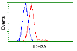 IDH3A Antibody - Flow cytometric analysis of Hela cells, using anti-IDH3A antibody, (Red) compared to a nonspecific negative control antibody (Blue).