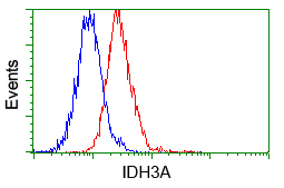 IDH3A Antibody - Flow cytometric analysis of Jurkat cells, using anti-IDH3A antibody, (Red) compared to a nonspecific negative control antibody (Blue).