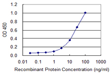 IDH3G Antibody - Detection limit for recombinant GST tagged IDH3G is 0.3 ng/ml as a capture antibody.