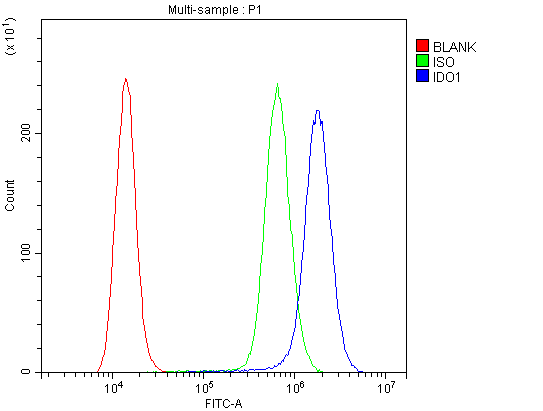 IDO1 / IDO Antibody - Flow Cytometry analysis of A431 cells using anti-IDO1 antibody. Overlay histogram showing A431 cells stained with anti-IDO1 antibody (Blue line). The cells were blocked with 10% normal goat serum. And then incubated with rabbit anti-IDO1 Antibody (1µg/10E6 cells) for 30 min at 20°C. DyLight®488 conjugated goat anti-rabbit IgG (5-10µg/10E6 cells) was used as secondary antibody for 30 minutes at 20°C. Isotype control antibody (Green line) was rabbit IgG (1µg/10E6 cells) used under the same conditions. Unlabelled sample (Red line) was also used as a control.