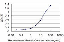 IFI16 Antibody - Detection limit for recombinant GST tagged IFI16 is approximately 0.3 ng/ml as a capture antibody.