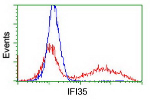 IFI35 Antibody - HEK293T cells transfected with either overexpress plasmid (Red) or empty vector control plasmid (Blue) were immunostained by anti-IFI35 antibody, and then analyzed by flow cytometry.