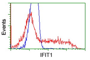 IFIT1 / ISG56 Antibody - HEK293T cells transfected with either overexpress plasmid (Red) or empty vector control plasmid (Blue) were immunostained by anti-IFIT1 antibody, and then analyzed by flow cytometry.