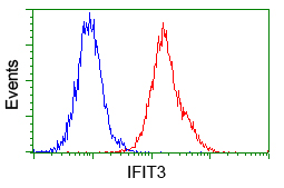 IFIT3 Antibody - Flow cytometric analysis of Jurkat cells, using anti-IFIT3 antibody, (Red) compared to a nonspecific negative control antibody (Blue).