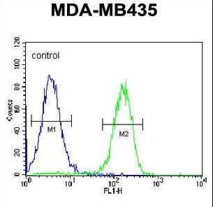 IFIX / PYHIN1 Antibody - PYHIN1 Antibody flow cytometry of MDA-MB435 cells (right histogram) compared to a negative control cell (left histogram). FITC-conjugated goat-anti-rabbit secondary antibodies were used for the analysis.