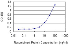 IFNA1 / Interferon Alpha 1 Antibody - Detection limit for recombinant GST tagged IFNA1 is 0.3 ng/ml as a capture antibody.