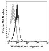 IFNAR2 Antibody - Flow cytometric analysis of Human IFNAR2 expression on Jurkat cells. Cells were stained with FITC-conjugated anti-Human IFNAR2. The fluorescence histograms were derived from gated events with the forward and side light-scatter characteristics of intact cells.