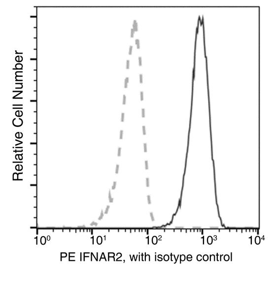 IFNAR2 Antibody - Flow cytometric analysis of Human IFNAR2 expression on Jurkat cells. Cells were stained with PE-conjugated anti-Human IFNAR2. The fluorescence histograms were derived from gated events with the forward and side light-scatter characteristics of intact cells.