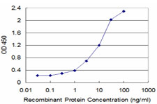 IFNGR2 Antibody - Detection limit for recombinant GST tagged IFNGR2 is approximately 0.3 ng/ml as a capture antibody.
