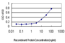 IFRD2 Antibody - Detection limit for recombinant GST tagged IFRD2 is approximately 1 ng/ml as a capture antibody.