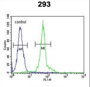 IFT172 Antibody - IFT172 Antibody flow cytometry of 293 cells (right histogram) compared to a negative control cell (left histogram). FITC-conjugated goat-anti-rabbit secondary antibodies were used for the analysis.