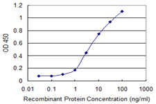 IFT20 Antibody - Detection limit for recombinant GST tagged IFT20 is 0.1 ng/ml as a capture antibody.