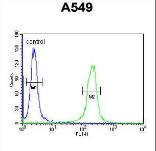 IFT43 / C14orf179 Antibody - C14orf179 Antibody flow cytometry of A549 cells (right histogram) compared to a negative control cell (left histogram). FITC-conjugated goat-anti-rabbit secondary antibodies were used for the analysis.
