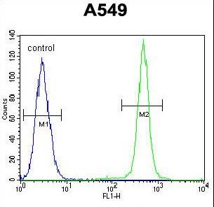 IGF1 Antibody - IGF1 Antibody flow cytometry of A549 cells (right histogram) compared to a negative control cell (left histogram). FITC-conjugated goat-anti-rabbit secondary antibodies were used for the analysis.