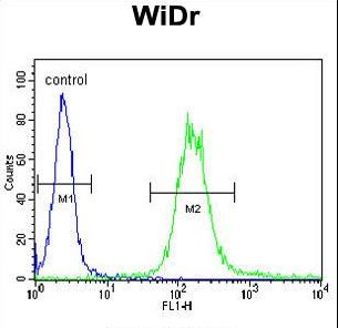 IGF1R / IGF1 Receptor Antibody - IGF1R Antibody (N-term K66) flow cytometry of WiDr cells (right histogram) compared to a no primary antibody control(left histogram). FITC-conjugated goat-anti-rabbit secondary antibodies were used for the analysis.