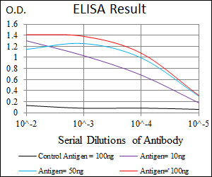 IGF2 Antibody - Red: Control Antigen (100ng); Purple: Antigen (10ng); Green: Antigen (50ng); Blue: Antigen (100ng);