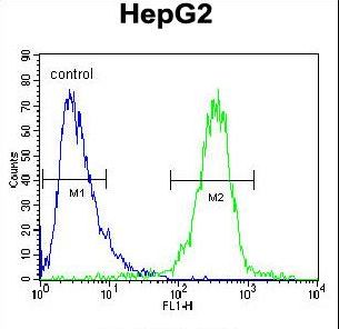 IGF2BP2 Antibody - IGF2BP2 Antibody flow cytometry of HepG2 cells (right histogram) compared to a negative control cell (left histogram). FITC-conjugated goat-anti-rabbit secondary antibodies were used for the analysis.