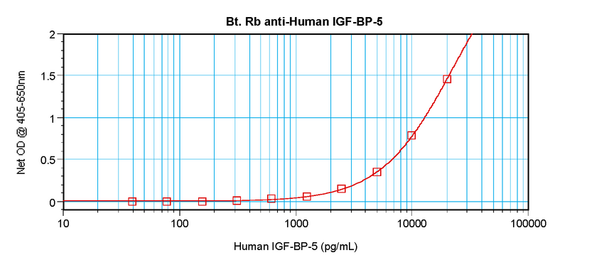 IGFBP5 Antibody - Biotinylated Anti-Human IGF-BP5 Sandwich ELISA