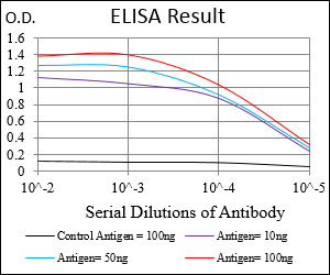 IGFBP7 / TAF Antibody - Red: Control Antigen (100ng); Purple: Antigen (10ng); Green: Antigen (50ng); Blue: Antigen (100ng);