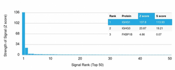 IgG Heavy Chain Antibody - Analysis of Protein Array containing more than 19,000 full-length human proteins using Anti-human IgG (IGHG1) Rabbit Recombinant Monoclonal Antibody (IG507R).Z- and S- Score: The Z-score represents the strength of a signal that a monoclonal antibody (MAb) (in combination with a fluorescently-tagged anti-IgG secondary antibody) produces when binding to a particular protein on the HuProtTM array. Z-scores are described in units of standard deviations (SD’s) above the mean value of all signals generated on that array. If targets on HuProtTM are arranged in descending order of the Z-score, the S-score is the difference (also in units of SD’s) between the Z-score. S-score therefore represents the relative target specificity of a MAb to its intended target.  A MAb is considered to specific to its intended target, if the MAb has an S-score of at least 2.5. For example, if a MAb binds to protein X with a Z-score of 43 and to protein Y with a Z-score of 14, then the S-score for the binding of that MAb to protein X is equal to 29.