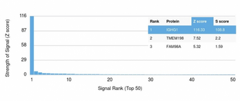 IgG Heavy Chain Antibody - Analysis of Protein Array containing >19,000 full-length human proteins using IgG Recombinant Mouse Monoclonal Antibody (rIG266) Z- and S- Score: The Z-score represents the strength of a signal that a monoclonal antibody (MAb) (in combination with a fluorescently-tagged anti-IgG secondary antibody) produces when binding to a particular protein on the HuProtTM array. Z-scores are described in units of standard deviations (SD’s) above the mean value of all signals generated on that array. If targets on HuProtTM are arranged in descending order of the Z-score, the S-score is the difference (also in units of SD’s) between the Z-score. S-score therefore represents the relative target specificity of a MAb to its intended target.  A MAb is considered to specific to its intended target, if the MAb has an S-score of at least 2.5. For example, if a MAb binds to protein X with a Z-score of 43 and to protein Y with a Z-score of 14, then the S-score for the binding of that MAb to protein X is equal to 29.