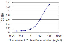 IGSF6 Antibody - Detection limit for recombinant GST tagged IGSF6 is 0.3 ng/ml as a capture antibody.