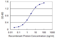AATF Antibody - Detection limit for recombinant GST tagged AATF is 0.03 ng/ml as a capture antibody.