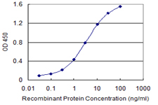 ABCC4 / MRP4 Antibody - Detection limit for recombinant GST tagged ABCC4 is 0.03 ng/ml as a capture antibody.