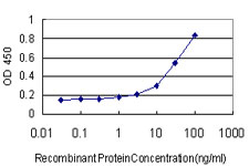 ABHD5 Antibody - Detection limit for recombinant GST tagged ABHD5 is approximately 1 ng/ml as a capture antibody.