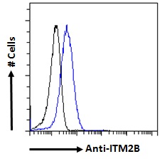 ABRI / ITM2B Antibody - ABRI / ITM2B antibody flow cytometric analysis of paraformaldehyde fixed HeLa cells (blue line), permeabilized with 0.5% Triton. Primary incubation 1hr (10ug/ml) followed by Alexa Fluor 488 secondary antibody (1ug/ml). IgG control: Unimmunized goat IgG (black line) followed by Alexa Fluor 488 secondary antibody.