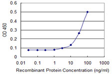ACOT9 Antibody - Detection limit for recombinant GST tagged ACOT9 is approximately 3 ng/ml as a capture antibody.