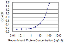 ACTB / Beta Actin Antibody - Detection limit for recombinant GST tagged ACTB is 0.3 ng/ml as a capture antibody.